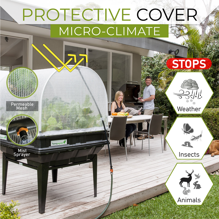 Medium Raised Garden Bed with Garden Cover
