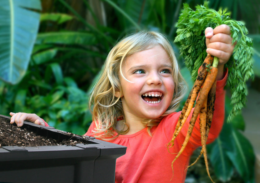 Medium Raised Garden Bed with Garden Cover