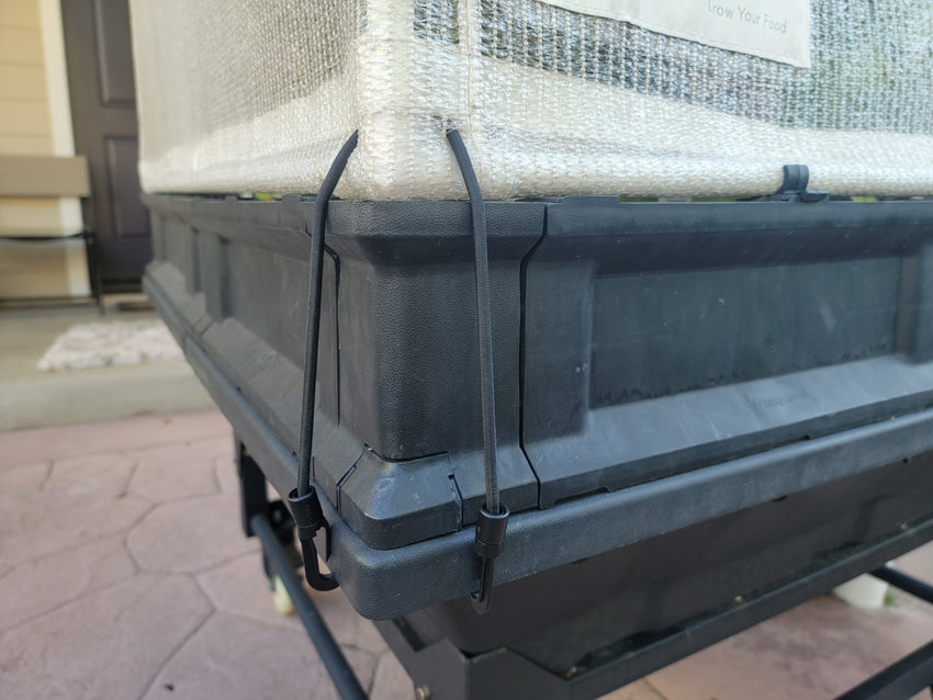 Wind Straps