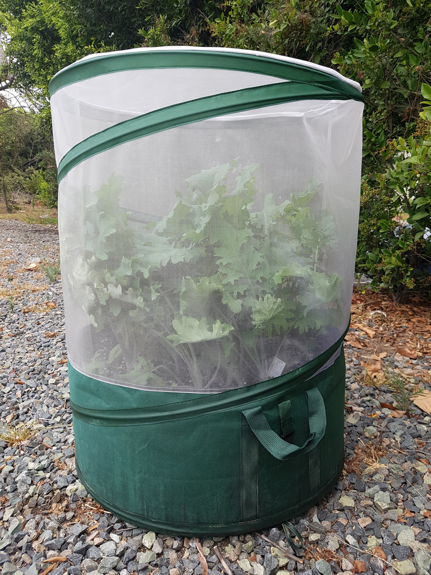 Vegebag Small
