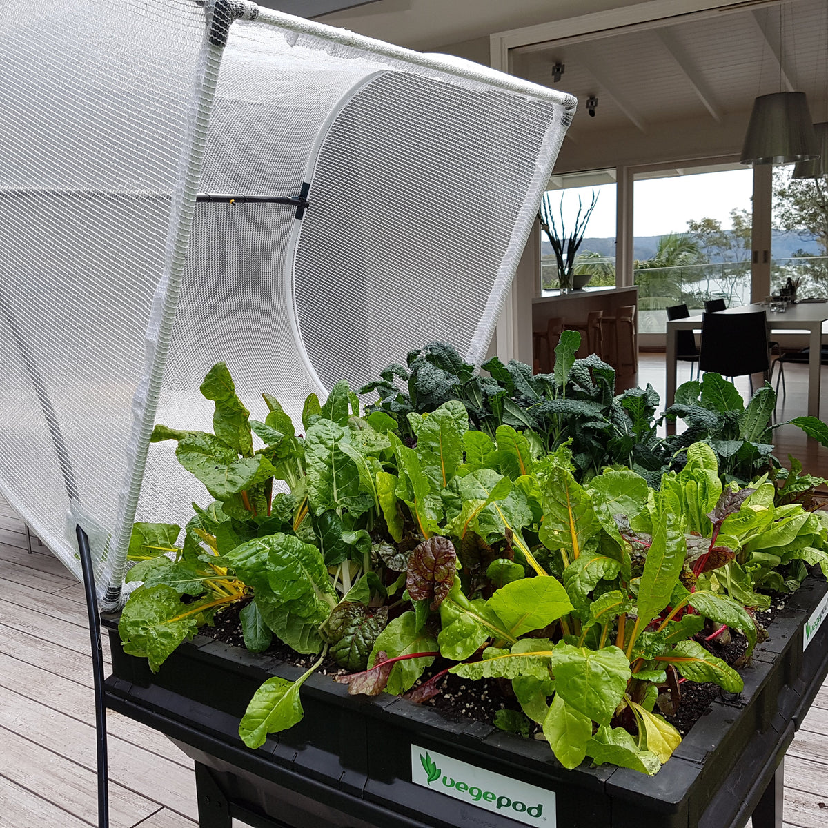 Ask Angus: What Growing Mix Should I Use For My Raised Garden Bed?