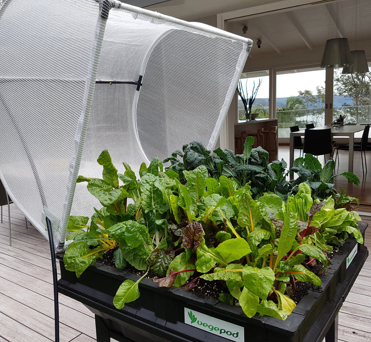 Ask Angus: What Growing Mix Should I Use For My Raised Garden Bed?