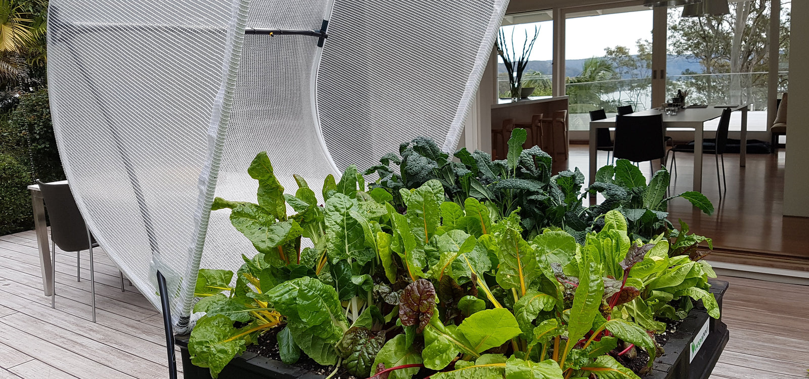 Ask Angus: What Growing Mix Should I Use For My Raised Garden Bed?