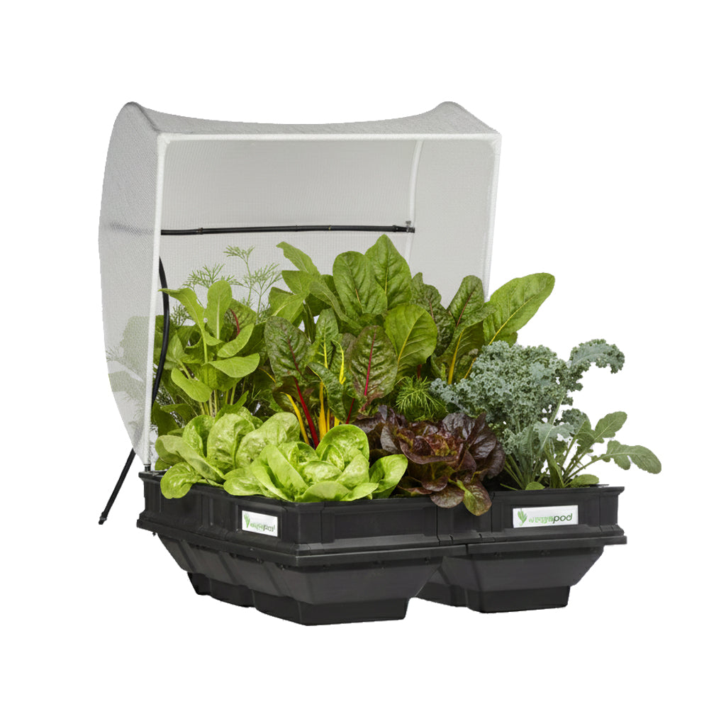Large Winter Garden Cover | Hothouse Cover for Raised Beds