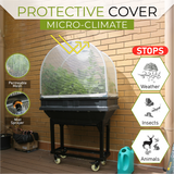 Small Raised Garden Bed with Garden Cover