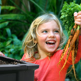 Medium Raised Garden Bed with Garden Cover