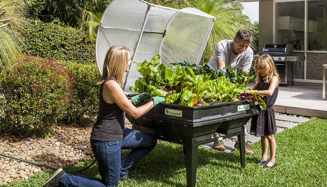 Vegepod Raised Garden Beds