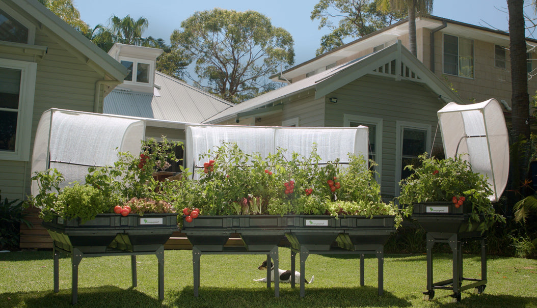 Vegepod Stands, Covers & Trolleys