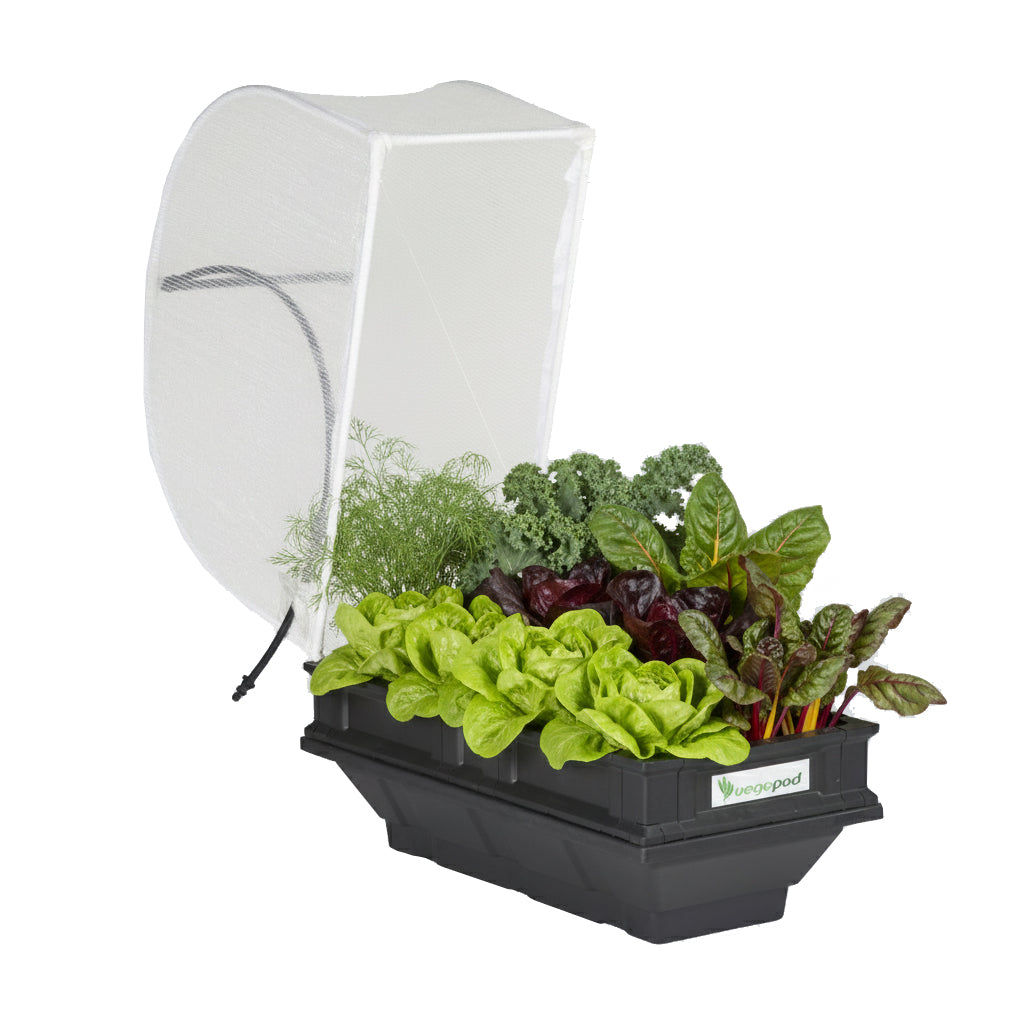 Small Raised Garden Bed with Garden Cover