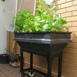 small-stand-trolley-planted