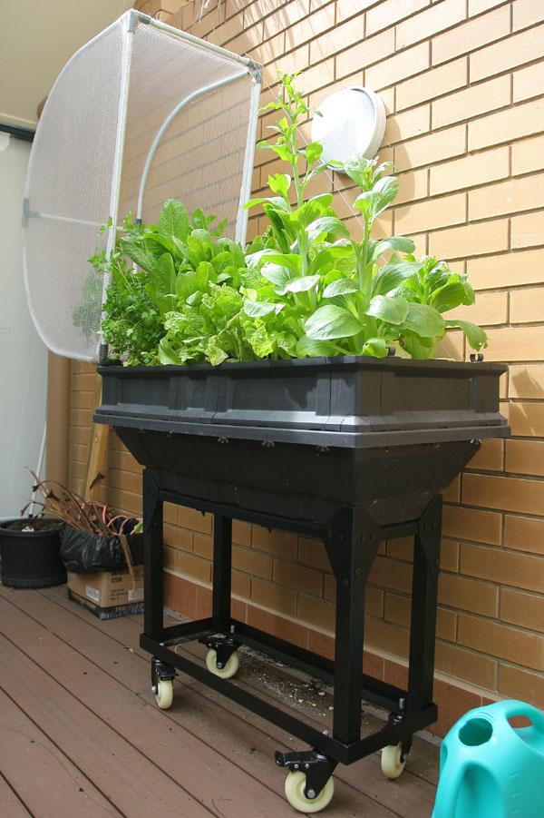 small-stand-trolley-planted